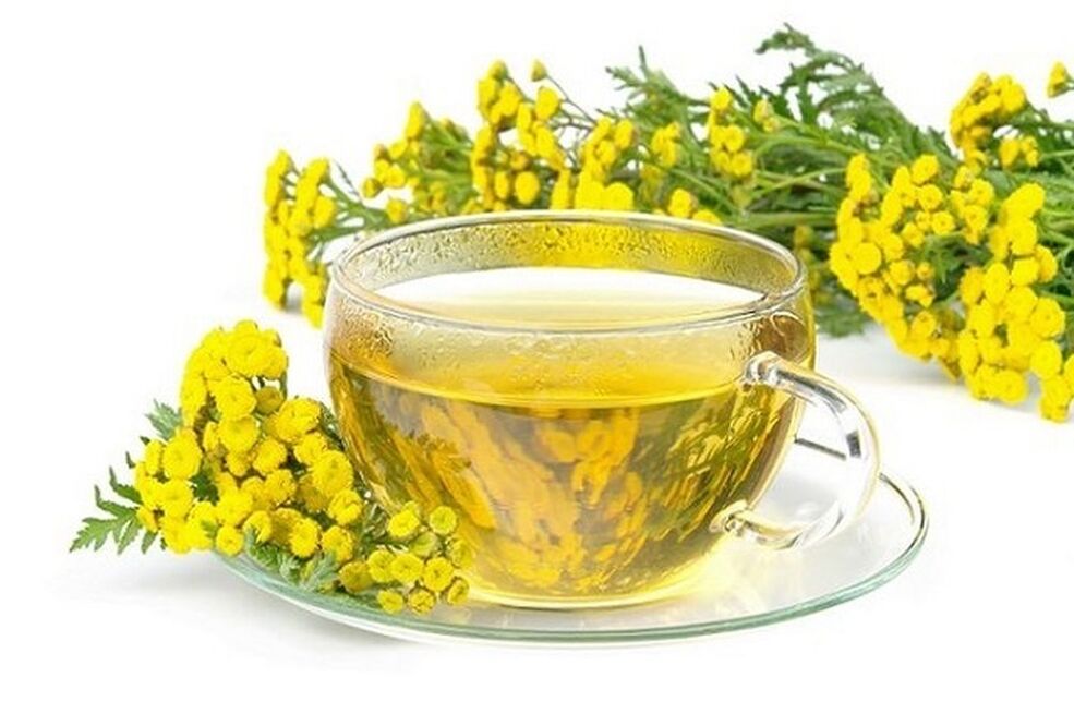 tansy decoction for parasites